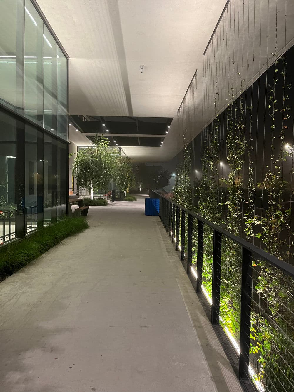 Modern walkway featuring greenery, ambient lighting, and glass architecture at night.