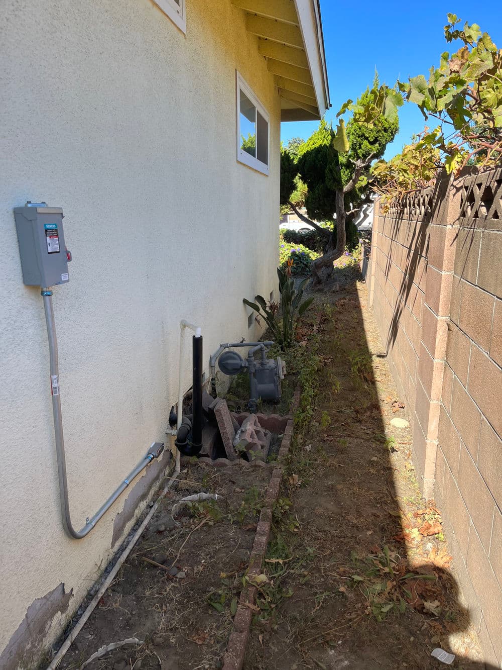 Narrow side yard of a house with utility meter, overgrown plants, and brick pathway.